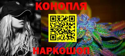 индика Новодвинск