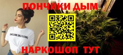 индика Новодвинск