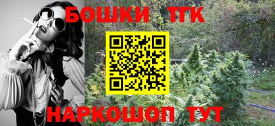 соль ск Новозыбков