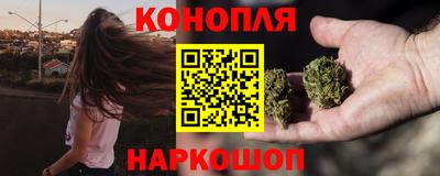 индика Новодвинск