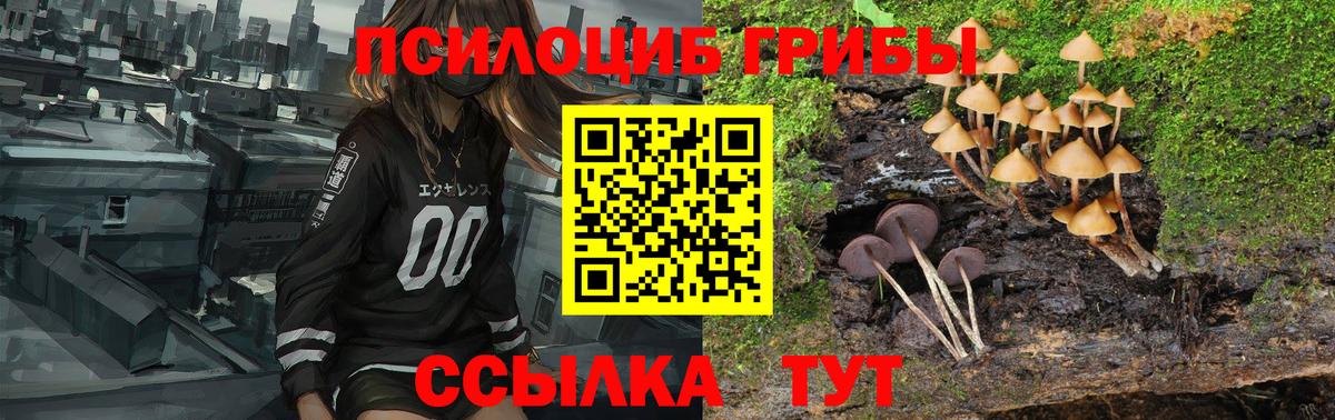 Галлюциногенные грибы GOLDEN TEACHER Уварово