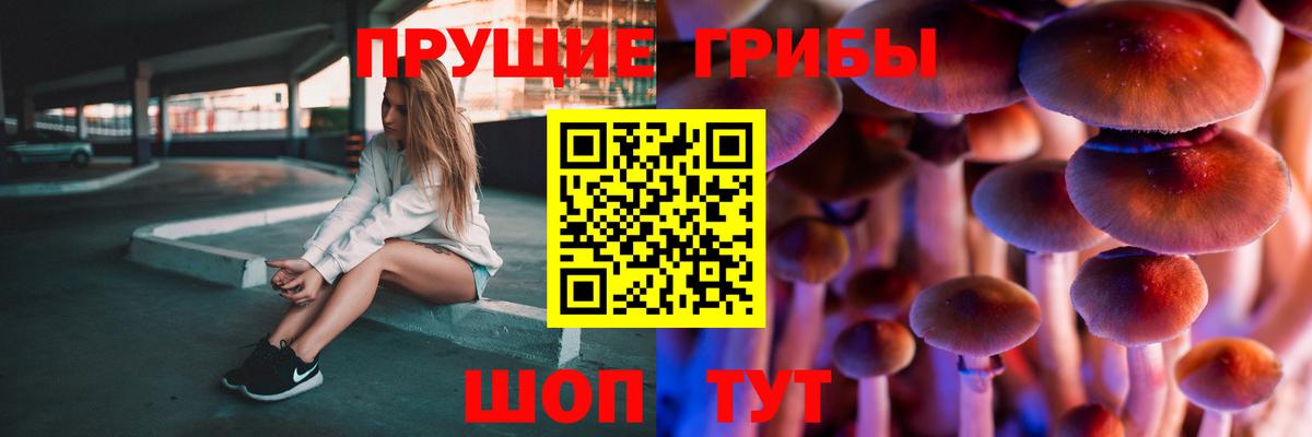 Уварово  Псилоцибиновые грибы прущие грибы  Вход с VPN 